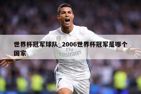 世界杯冠军球队_2006世界杯冠军是哪个国家
