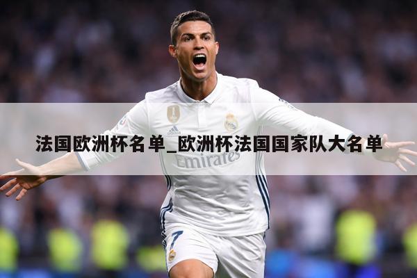 法国欧洲杯名单_欧洲杯法国国家队大名单