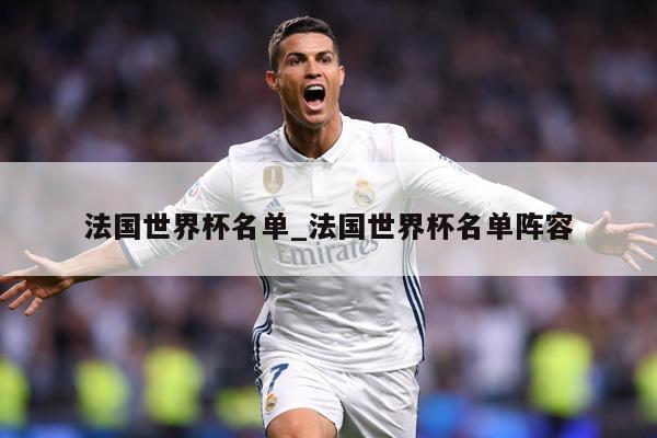 法国世界杯名单_法国世界杯名单阵容